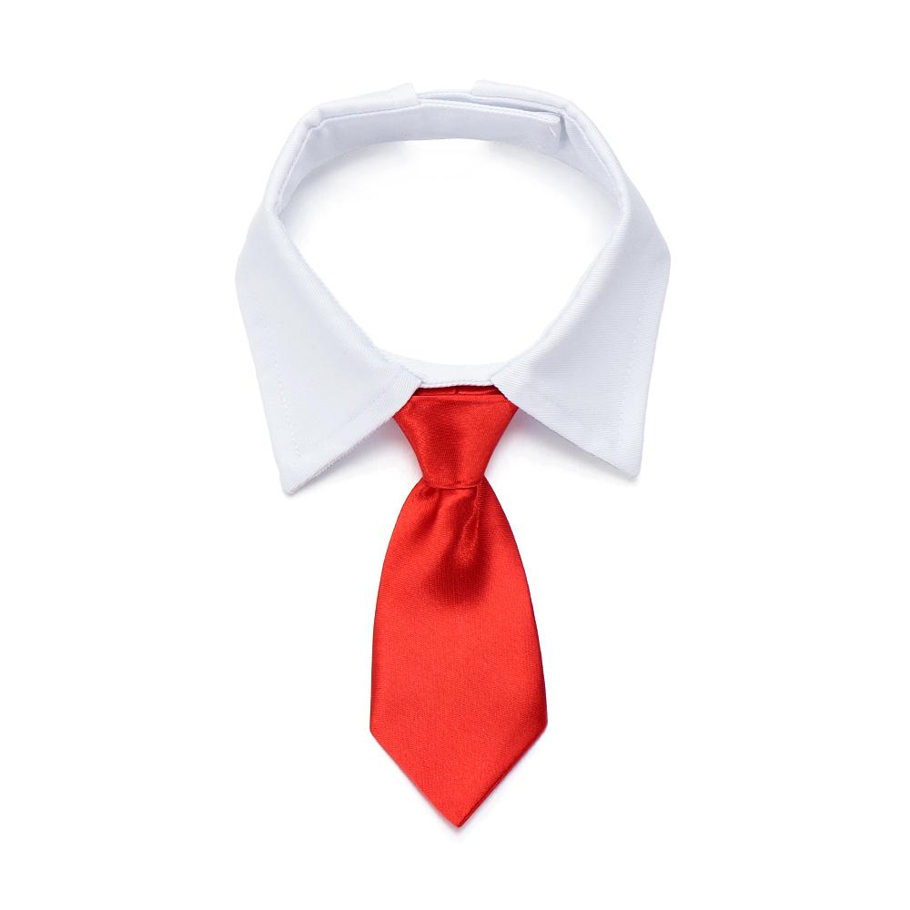 CORBATA MASCOTAS
