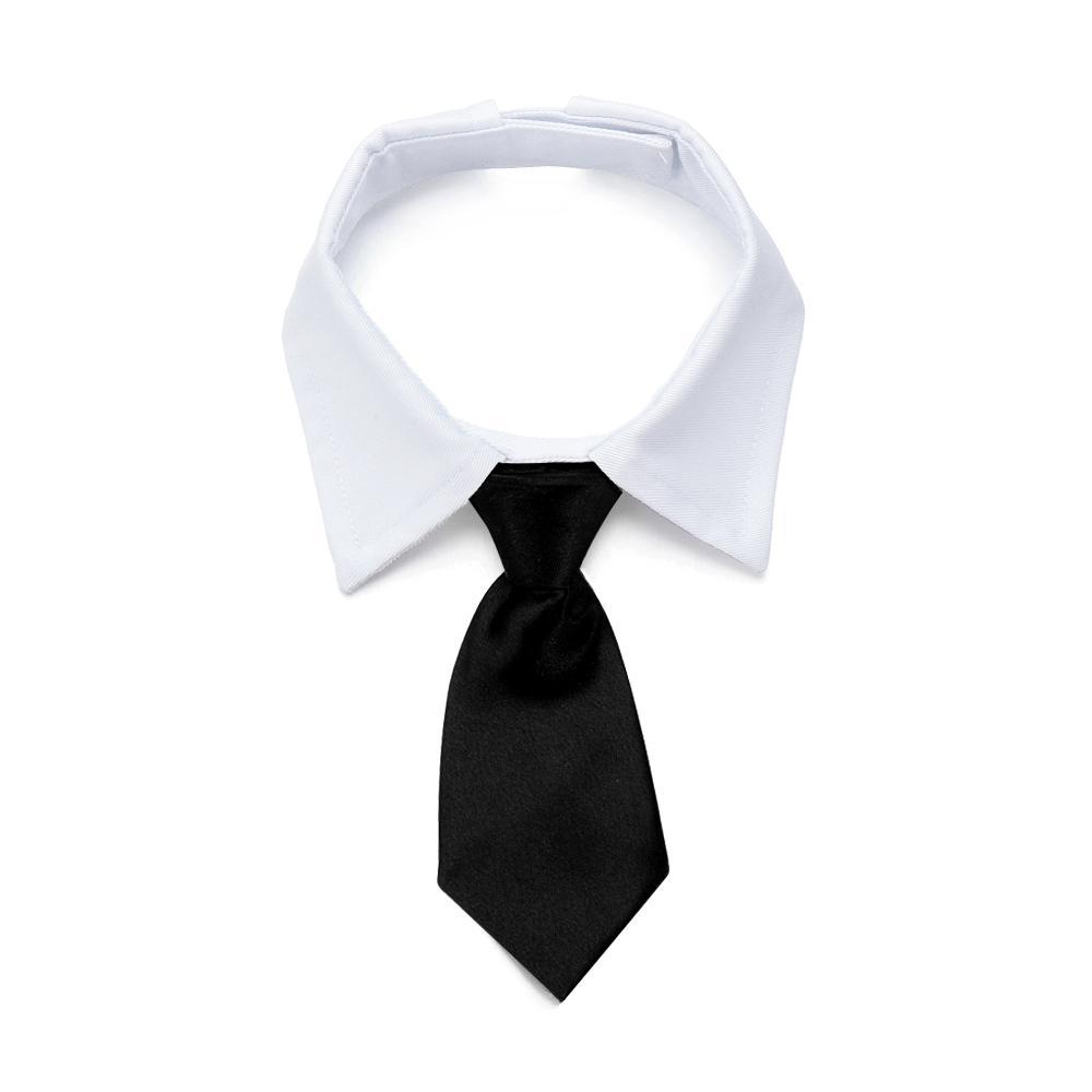 CORBATA MASCOTAS